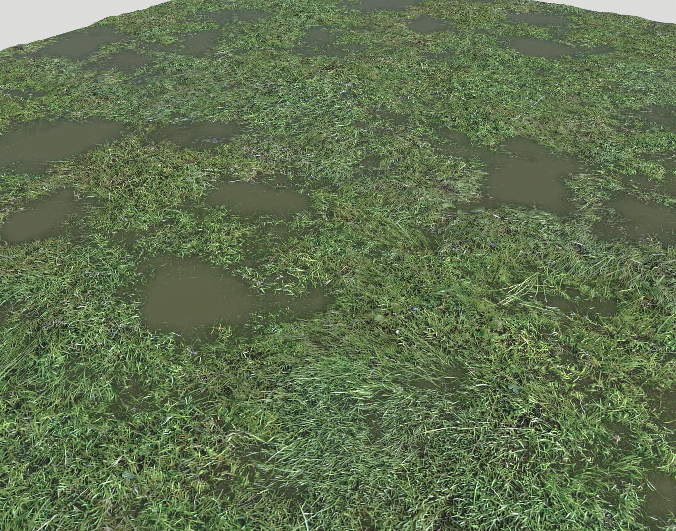 Wet Grass terrain PBR textures model https://p.turbosquid.com/ts-thumb/18/4DNAKd/eR/screenshot009/png/1751394051/1920x1080/fit_q87/6323b1bf877062aed29f46d7171c1d793bf3bcf5/screenshot009.jpg