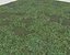 Wet Grass terrain PBR textures