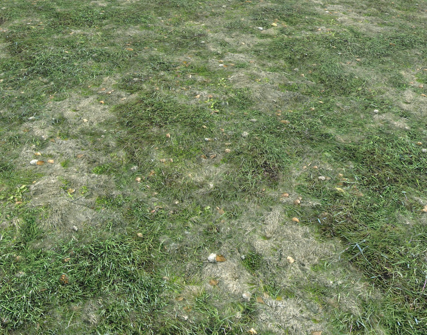 Wet Grass terrain PBR textures model https://p.turbosquid.com/ts-thumb/18/4DNAKd/iL/screenshot004/png/1751394048/1920x1080/fit_q87/5b974cce4e8c5943cfd92d325056d8a661b74c26/screenshot004.jpg