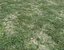 Wet Grass terrain PBR textures