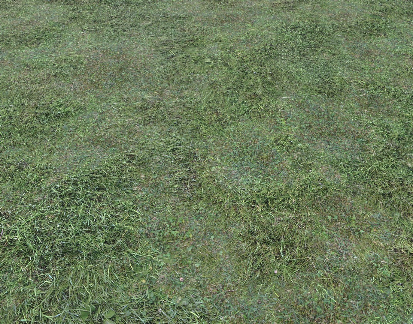 Wet Grass terrain PBR textures model https://p.turbosquid.com/ts-thumb/18/4DNAKd/lD/screenshot014/png/1751394061/1920x1080/fit_q87/63ef4bfffbc591b3de4ccc72b1e087b3c9bb0486/screenshot014.jpg