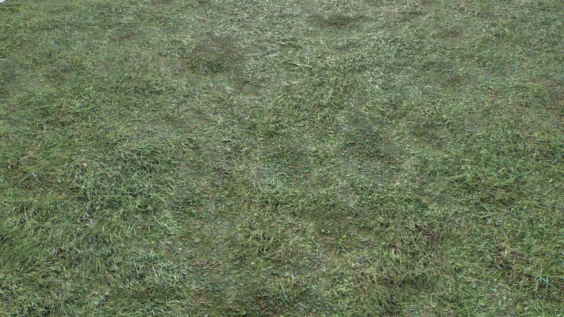 Wet Grass terrain PBR textures model https://p.turbosquid.com/ts-thumb/18/4DNAKd/mn/untitled_003/png/1751392742/1920x1080/fit_q87/d7acf18106e96e28fdca7f53cf208e8c919f7218/untitled_003.jpg