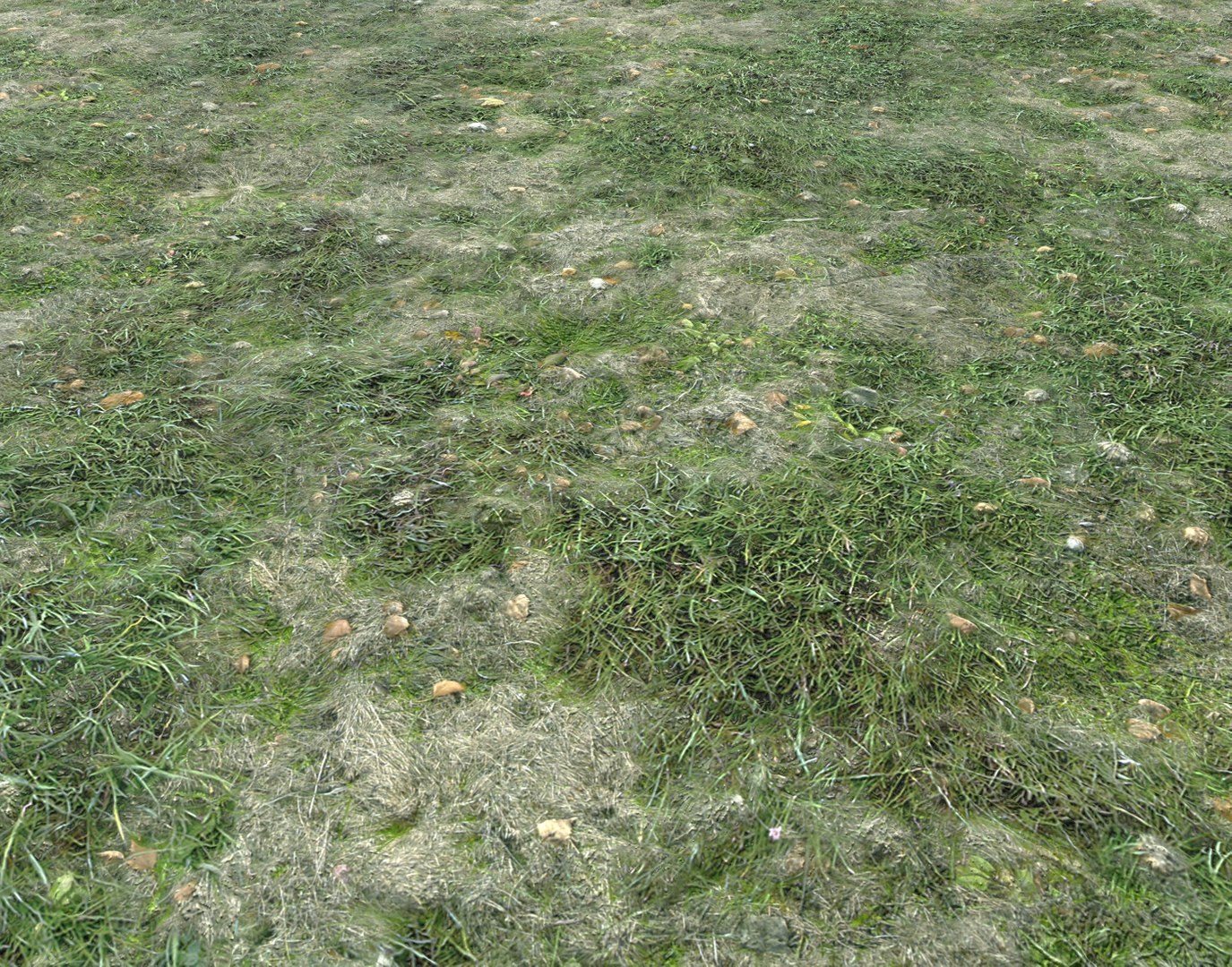 Wet Grass terrain PBR textures model https://p.turbosquid.com/ts-thumb/18/4DNAKd/q3/screenshot006/png/1751394053/1920x1080/fit_q87/4f12af28fe43a1ff3cd5cb401d462f1fc9a1a450/screenshot006.jpg