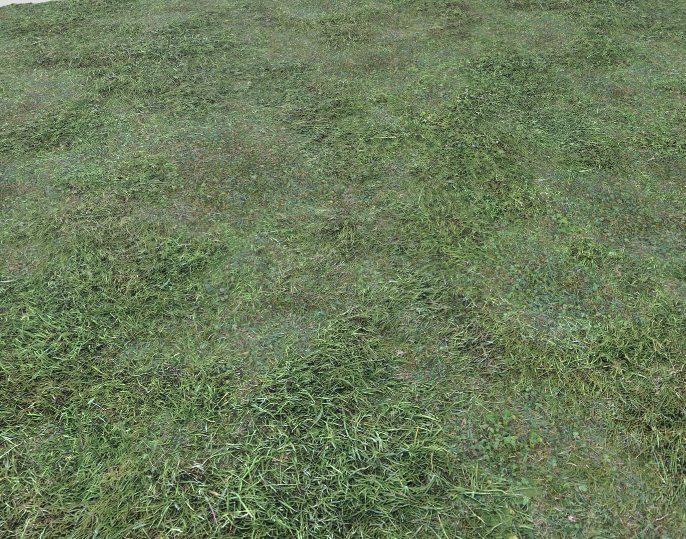 Wet Grass terrain PBR textures model https://p.turbosquid.com/ts-thumb/18/4DNAKd/sQ/screenshot015/png/1751394055/1920x1080/fit_q87/87909fbc34fb849493a5f000a5be2c539846e347/screenshot015.jpg