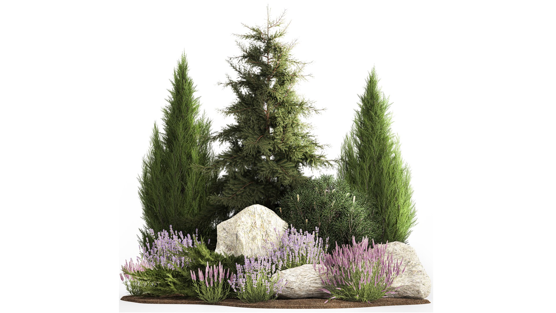 wisteria im topf Chinesische Blauregen 'Prolific' - Wisteria sinensis Prolific main image 1