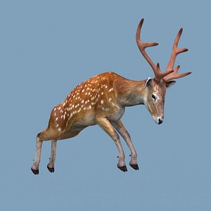 3D model Pro Deer 8K - 3d animated