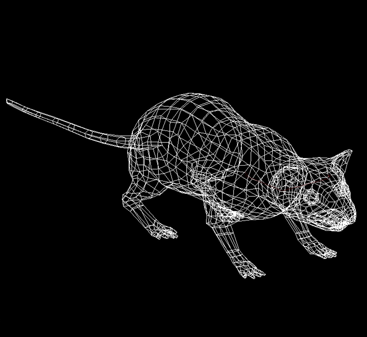 Mouse Rigged Anim 3D - TurboSquid 1505369