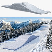 Winter Sports Snow Springboard