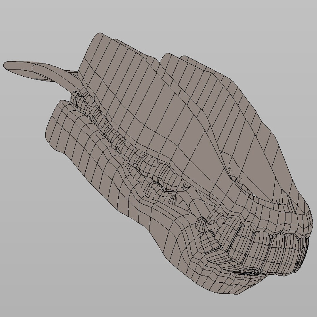 3d Realistic Donkey