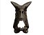 Carnotaurus Skull 3D Print Nodel