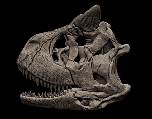 Carnotaurus Skull 3D Print Nodel 3D