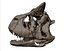 Carnotaurus Skull 3D Print Nodel