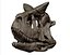 Carnotaurus Skull 3D Print Nodel