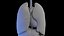 Complete Human Male and Female Anatomy Set2(1)