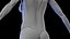 Complete Human Male and Female Anatomy Set2(1)