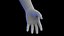 Complete Human Male and Female Anatomy Set2(1)