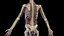 Complete Human Male and Female Anatomy Set2(1)