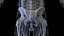 Complete Human Male and Female Anatomy Set2(1)