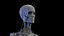 Complete Human Male and Female Anatomy Set2(1)
