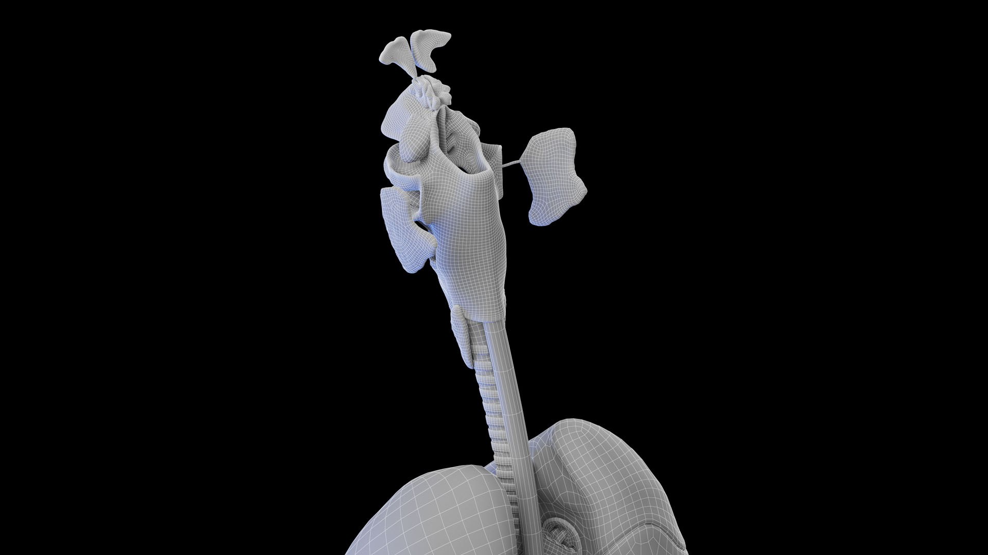 Complete Human Male and Female Anatomy Set2 3D https://p.turbosquid.com/ts-thumb/18/vISGzm/wf/male_anatomy_wire_38/jpg/1684433343/1920x1080/fit_q87/e312e5709d2f6ef8160b70da0322672b8779e8a5/male_anatomy_wire_38.jpg