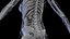 Complete Human Male and Female Anatomy Set2(1)