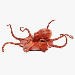 Giant Pacific Octopus (Rigged)