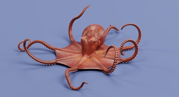 3D model giant pacific octopus rigged - TurboSquid 1362453