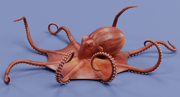 3D model giant pacific octopus rigged - TurboSquid 1362453