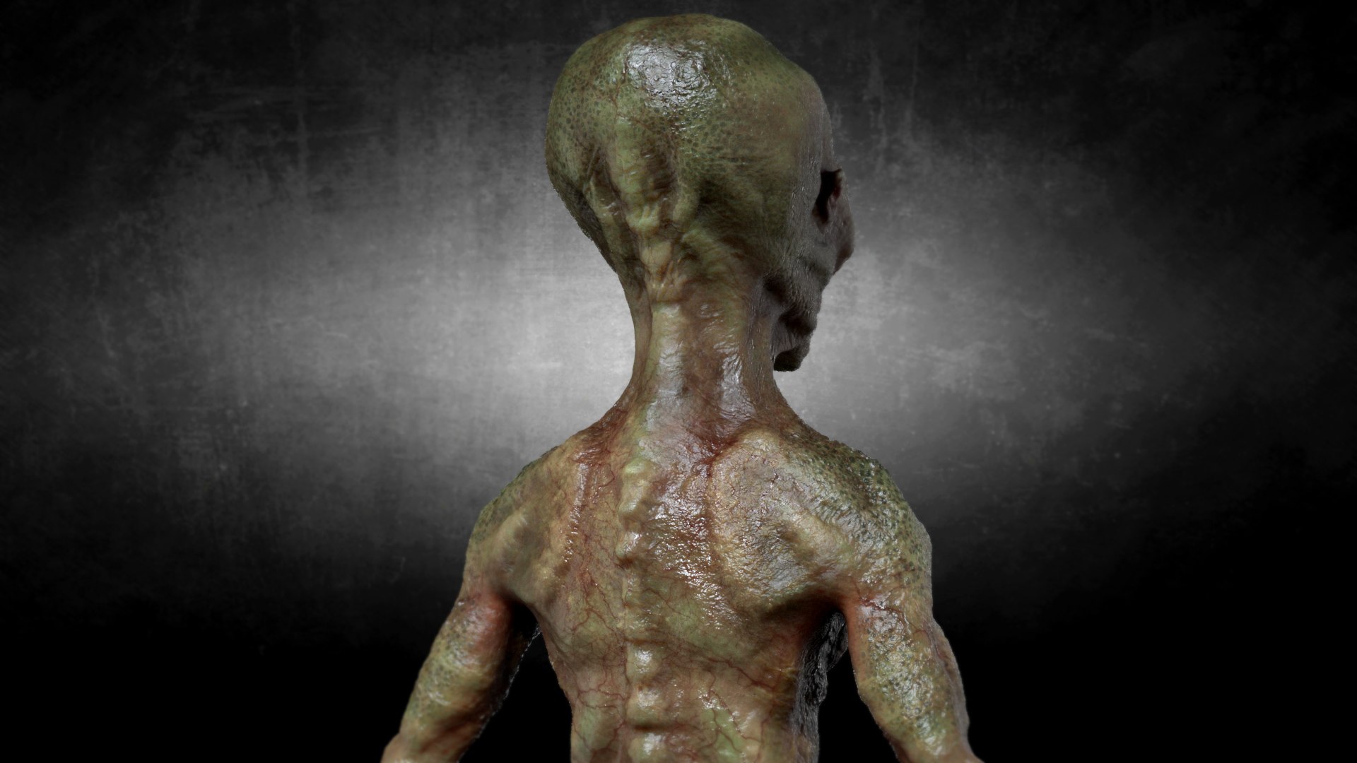 Green Alien Creature 3D https://p.turbosquid.com/ts-thumb/18/x3iem5/H0/shot08copy/jpg/1693065168/1920x1080/fit_q87/03837992fc00e35493ad8692952c0e02cfe140bb/shot08copy.jpg