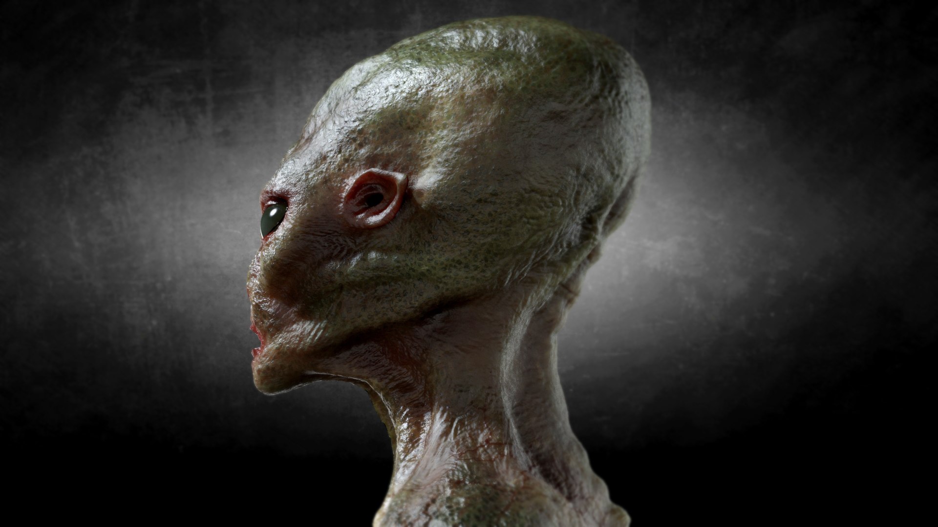 Green Alien Creature 3D https://p.turbosquid.com/ts-thumb/18/x3iem5/Ma/shot07copy/jpg/1693065168/1920x1080/fit_q87/6b61c83c18b264d424897158a5e6a68139e3e4e8/shot07copy.jpg
