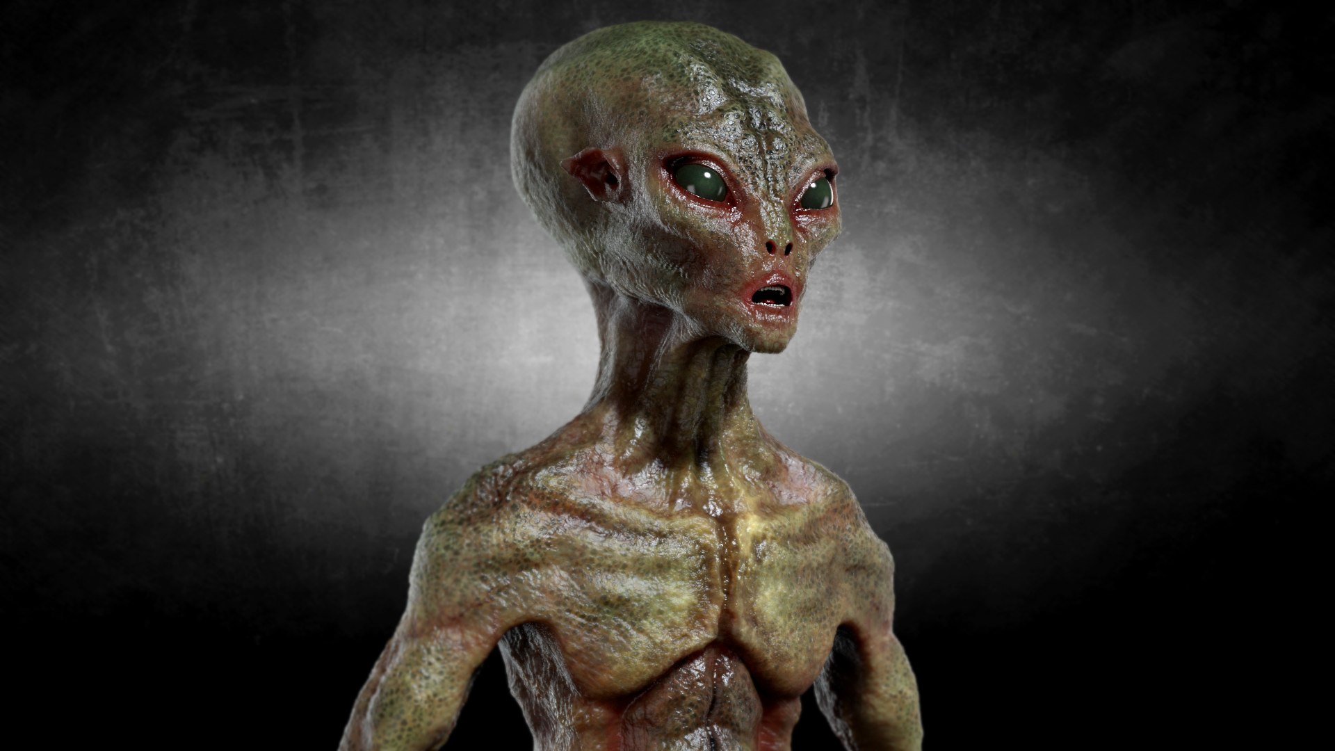 Green Alien Creature 3D https://p.turbosquid.com/ts-thumb/18/x3iem5/S6/shot04copy/jpg/1693065165/1920x1080/fit_q87/e88e1e9da647cf73fbf94ad187e27ad2c7014c1b/shot04copy.jpg