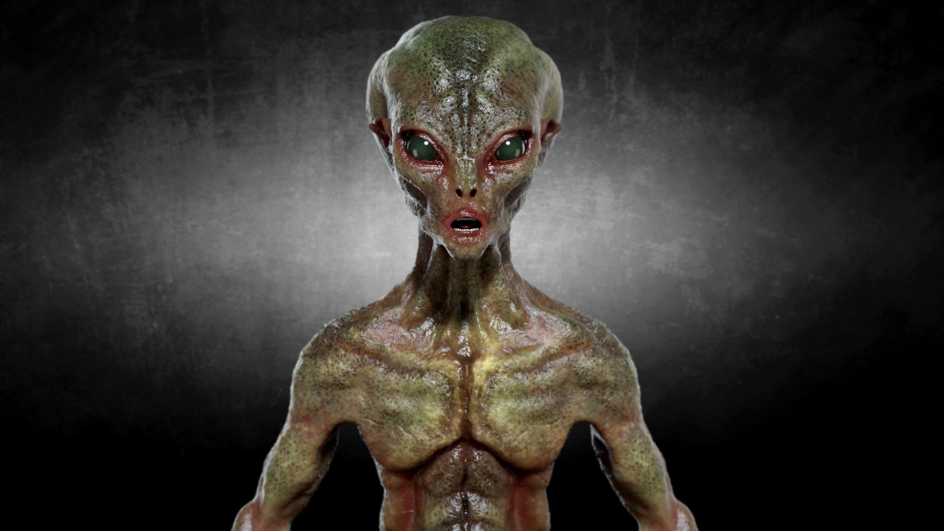 Green Alien Creature 3D https://p.turbosquid.com/ts-thumb/18/x3iem5/jr/shot02copy/jpg/1693065164/1920x1080/fit_q87/49d2160782a23b4d182d70a4c6c02c49b67cffef/shot02copy.jpg