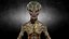 Green Alien Creature
