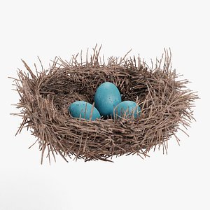 3D Nest with Eggs model
