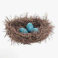 Nest with Eggs