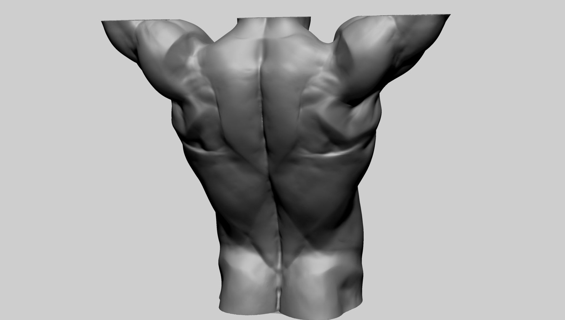 3D Base Male Torso D Model - TurboSquid 2198871