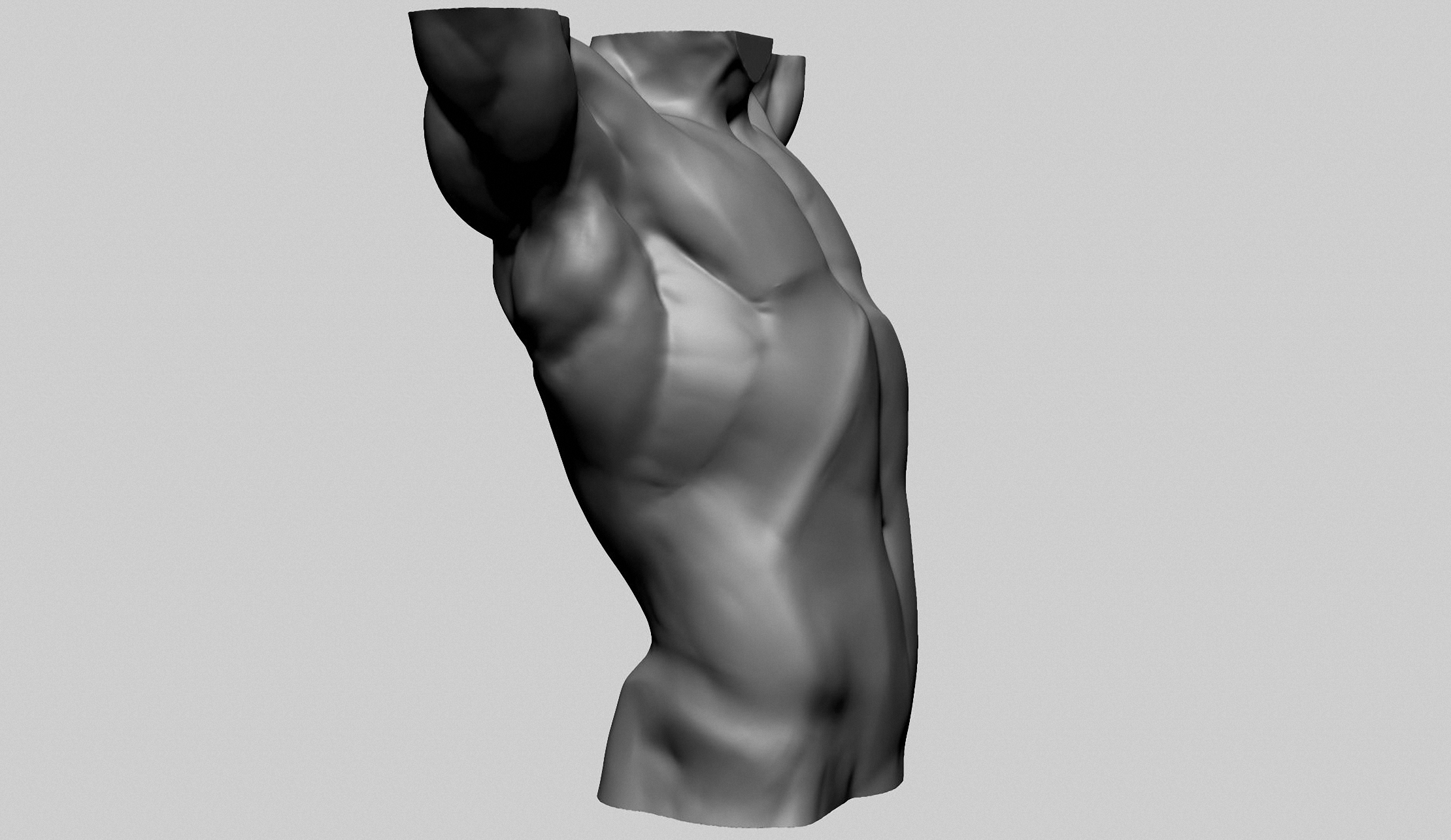 modelo 3d Torso masculino base D - TurboSquid 2198871