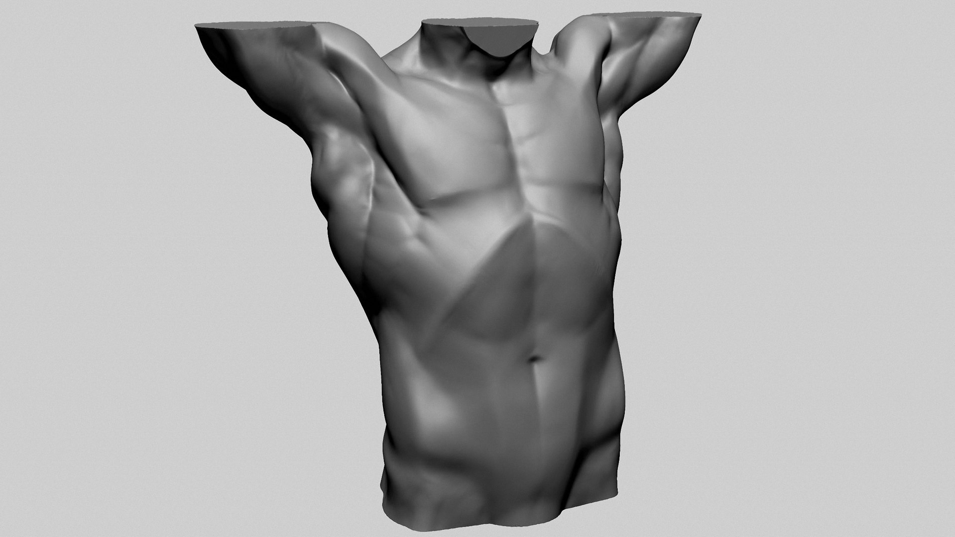 3D Base Male Torso D Model - TurboSquid 2198871