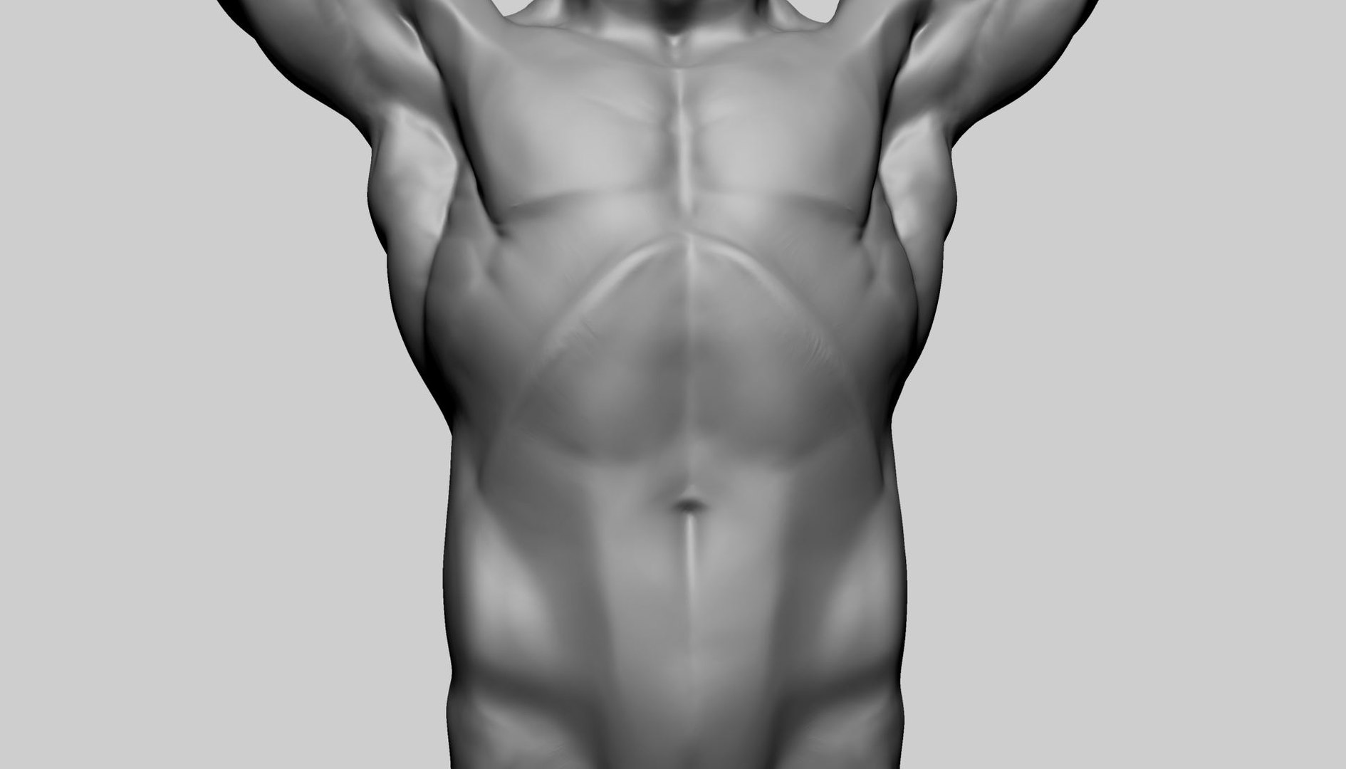 3D Base Male Torso D Model - TurboSquid 2198871