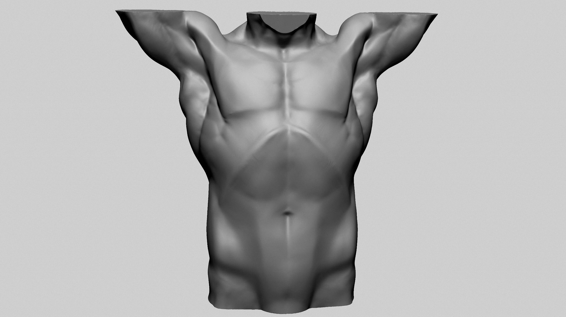 3D Base Male Torso D Model - TurboSquid 2198871