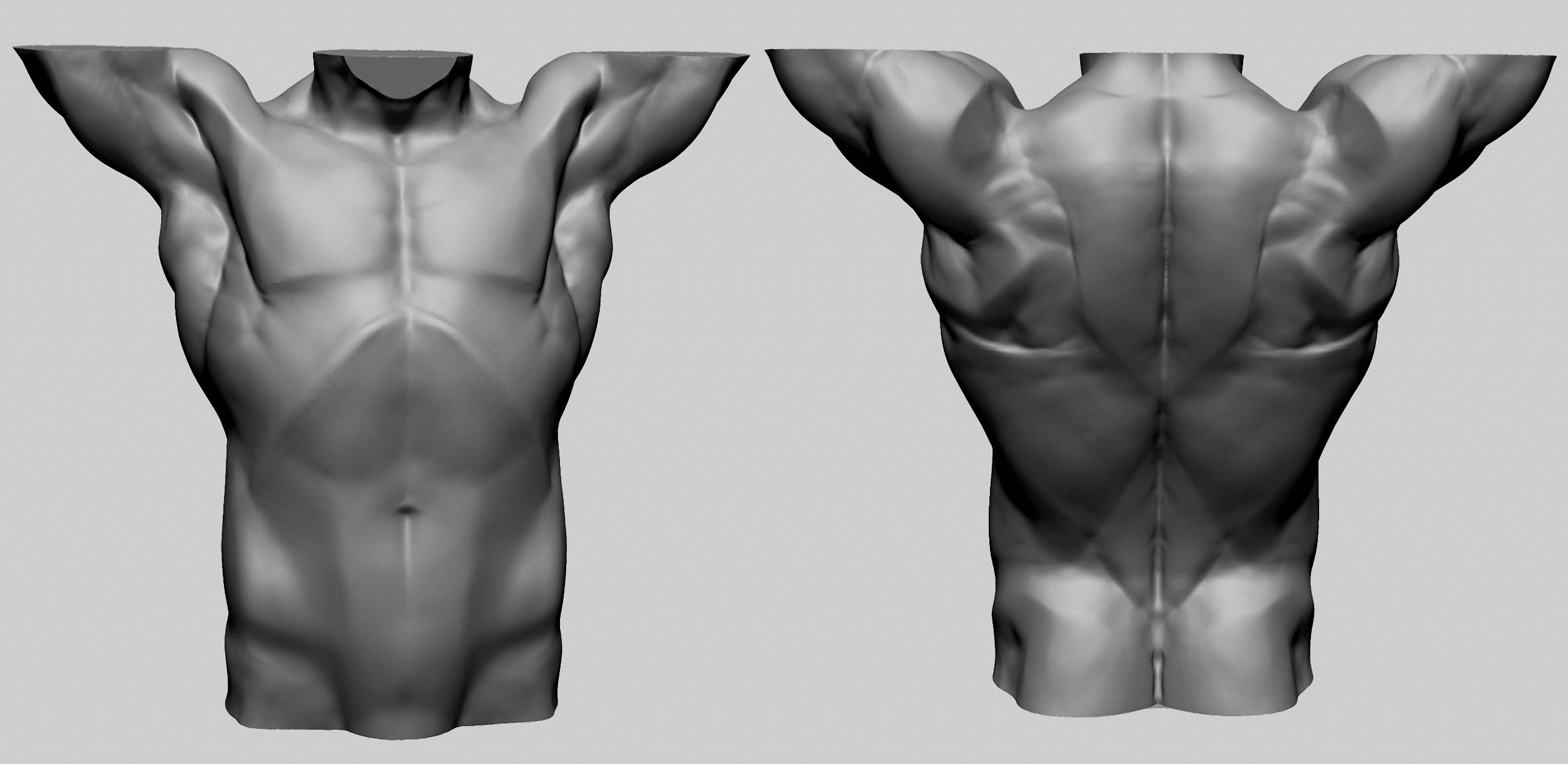 modelo 3d Torso masculino base D - TurboSquid 2198871