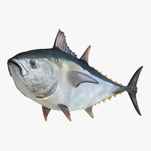 tuna fish pose 2 3d model