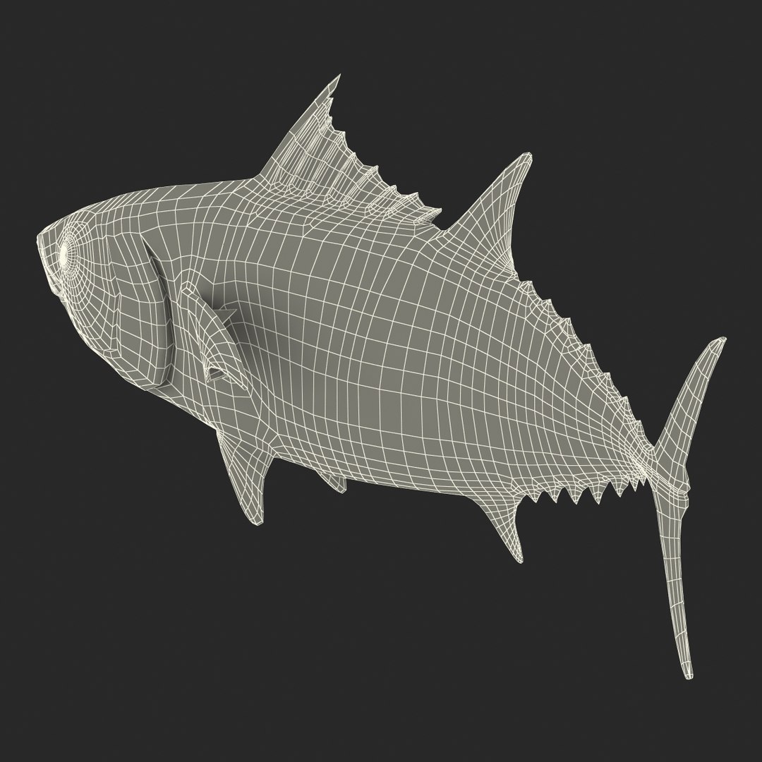 tuna fish pose 2 3d model https://p.turbosquid.com/ts-thumb/19/Cbh1k9/2Xi0RmlC/tunafish3ds3dmodel34/jpg/1461569255/1920x1080/fit_q87/dc523fe959a06299cd4c77db7c10f44c4630f601/tunafish3ds3dmodel34.jpg