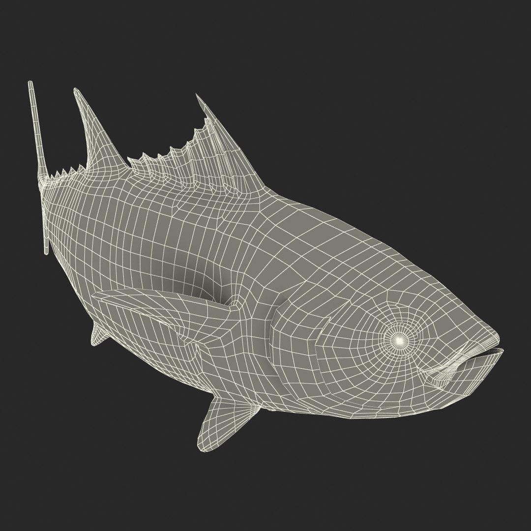 tuna fish pose 2 3d model https://p.turbosquid.com/ts-thumb/19/Cbh1k9/3AKz4kAD/tunafish3ds3dmodel33/jpg/1461569255/1920x1080/fit_q87/0519bfbf0f09580eec152ae9fee8447b6a57e752/tunafish3ds3dmodel33.jpg