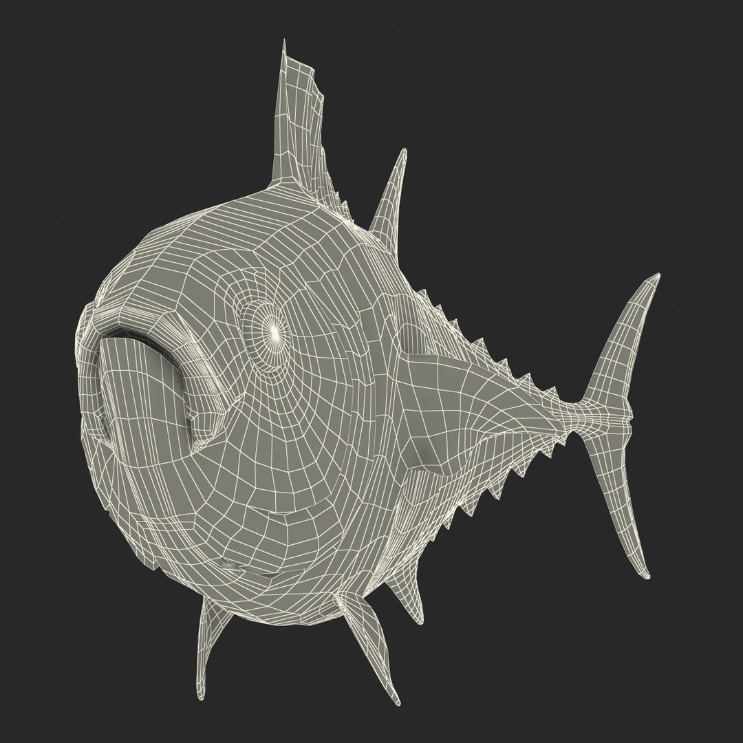 tuna fish pose 2 3d model https://p.turbosquid.com/ts-thumb/19/Cbh1k9/6KpAgXaf/tunafish3ds3dmodel37/jpg/1461569255/1920x1080/fit_q87/6f55360ac77062c7473affaf0ff645ba07a5643c/tunafish3ds3dmodel37.jpg
