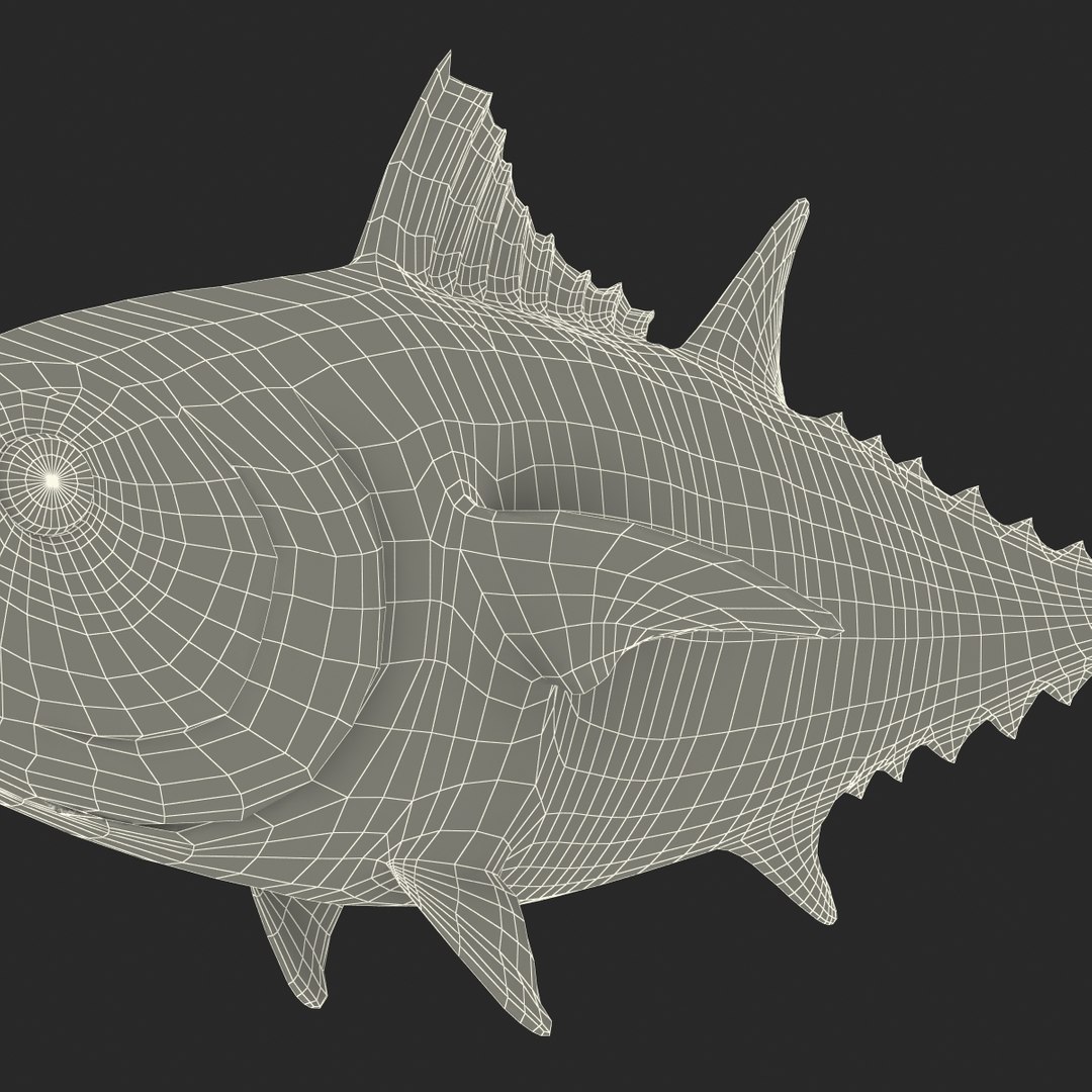 tuna fish pose 2 3d model https://p.turbosquid.com/ts-thumb/19/Cbh1k9/6u8aAmQT/tunafish3ds3dmodel41/jpg/1461569255/1920x1080/fit_q87/bf4edb57ee74a0d5ebb919c3b0f88ad0ca845ee9/tunafish3ds3dmodel41.jpg
