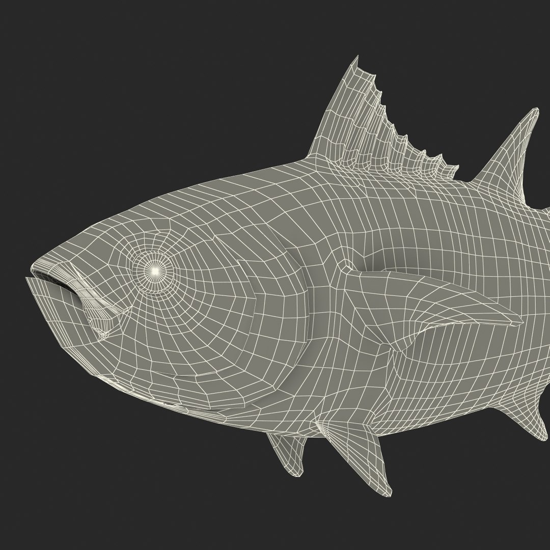 tuna fish pose 2 3d model https://p.turbosquid.com/ts-thumb/19/Cbh1k9/AqlUKyMf/tunafish3ds3dmodel39/jpg/1461569255/1920x1080/fit_q87/2595f963c9b2e3e61154c2f50af1c0eb4e577bf0/tunafish3ds3dmodel39.jpg