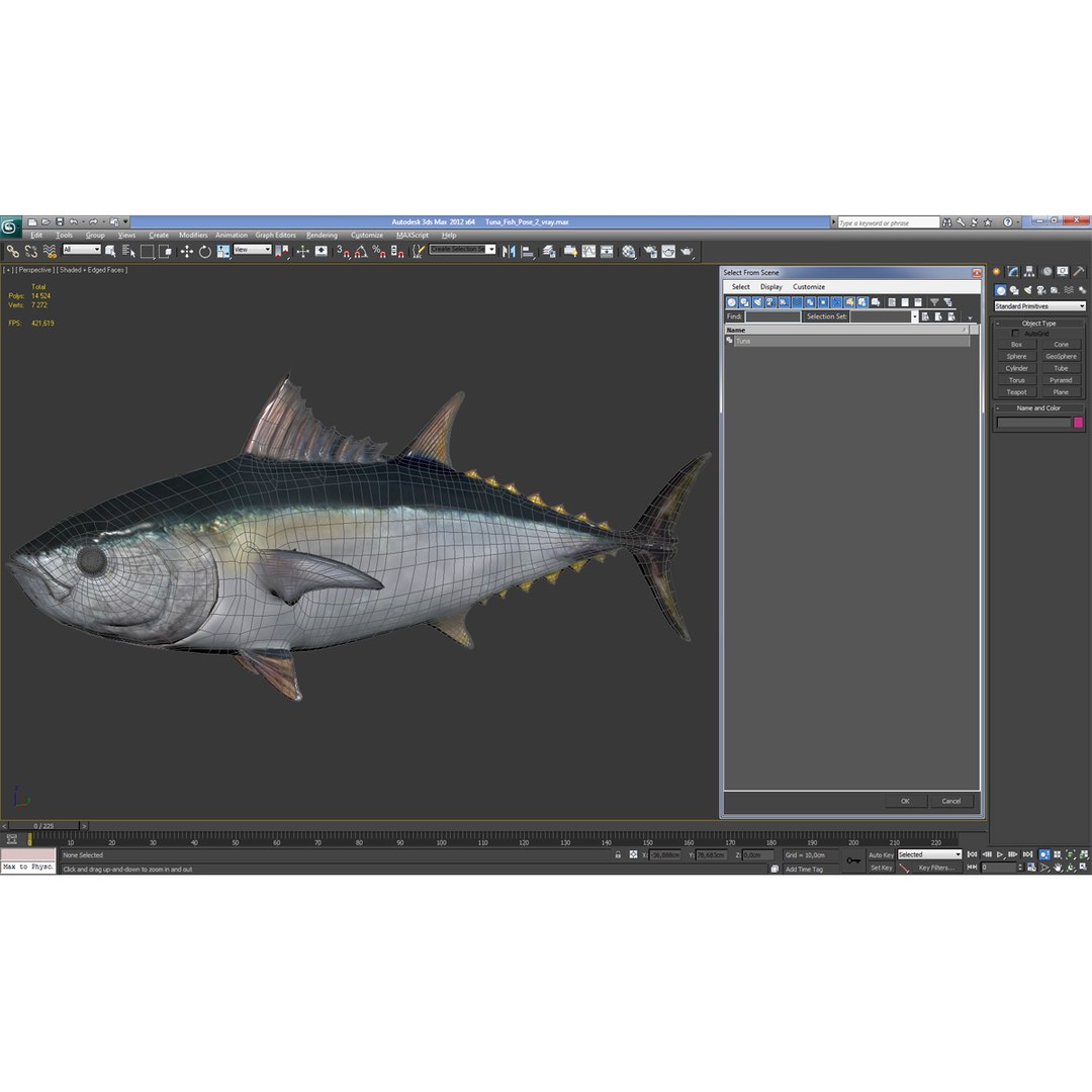 tuna fish pose 2 3d model https://p.turbosquid.com/ts-thumb/19/Cbh1k9/GOga3XsX/tunafish3ds3dmodel32/jpg/1461569255/1920x1080/fit_q87/19f68eb9bb5c2190958c2778af093ec12dea8a3a/tunafish3ds3dmodel32.jpg