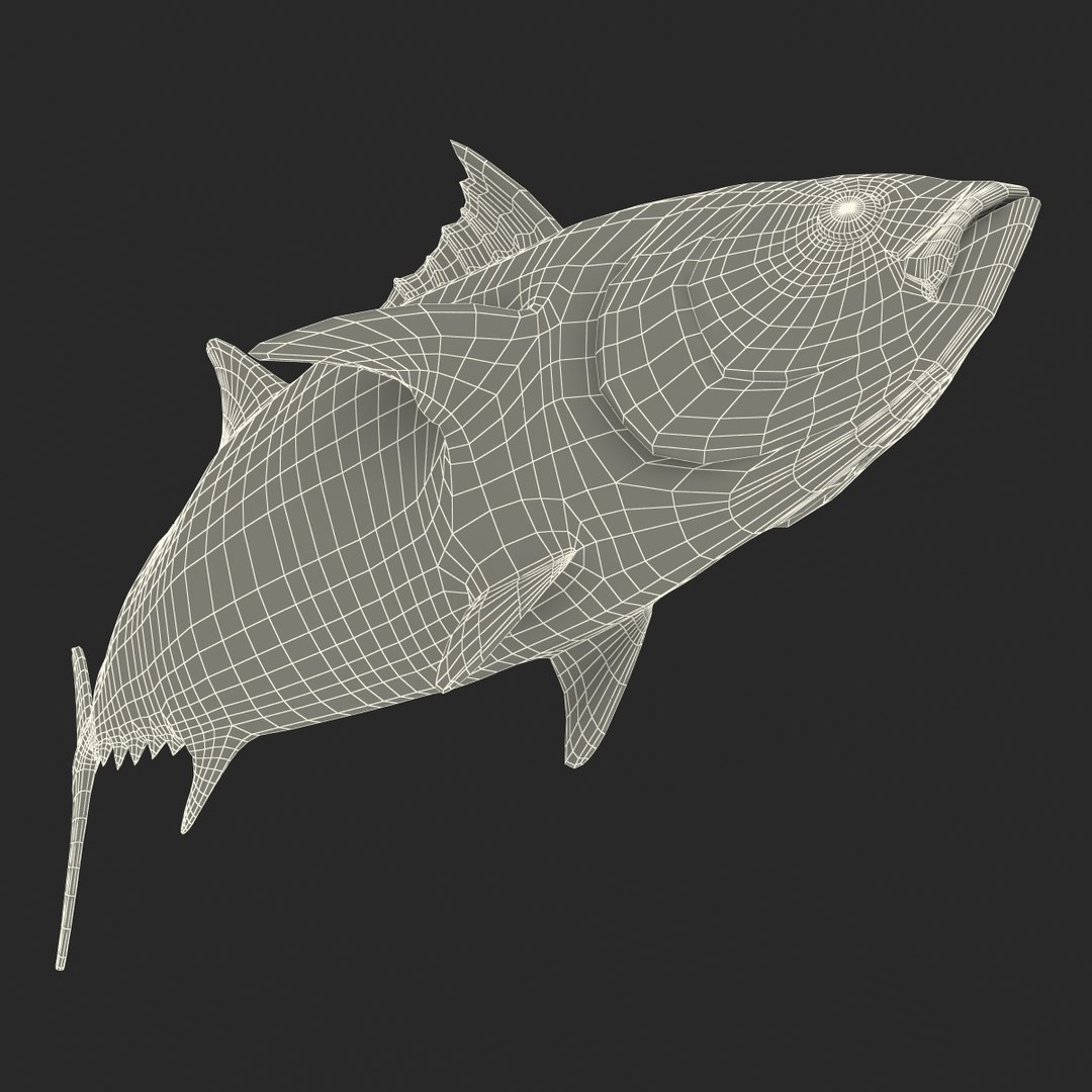 tuna fish pose 2 3d model https://p.turbosquid.com/ts-thumb/19/Cbh1k9/hzSzgR33/tunafish3ds3dmodel36/jpg/1461569255/1920x1080/fit_q87/bc810a2b6d1f5a13a55559a3a7a5723033e6e50e/tunafish3ds3dmodel36.jpg