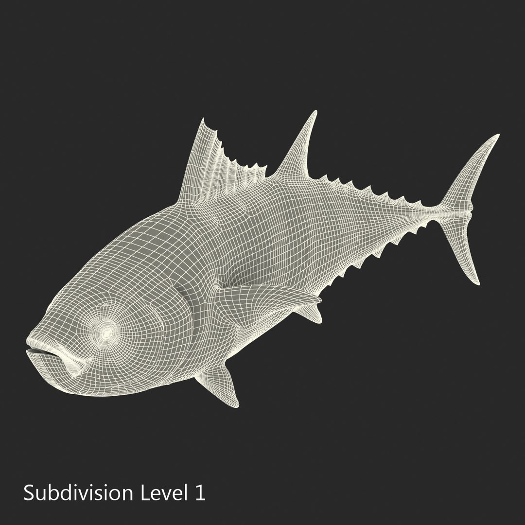 tuna fish pose 2 3d model https://p.turbosquid.com/ts-thumb/19/Cbh1k9/oQANM4d8/tunafish3ds3dmodel29/jpg/1461569254/1920x1080/fit_q87/3f3b86adc06f05cab785d70ebdc40d6ef2d9da47/tunafish3ds3dmodel29.jpg